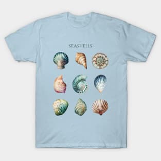 Seashell Collecting Beachcombing Lover Sea Shell Collector T-Shirt